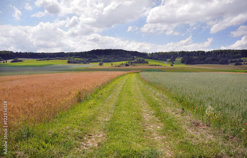 Beautiful landscape in Germany. Road of grass in the middle. Panorama view.
