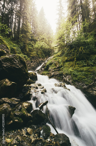 forest stream in autumn