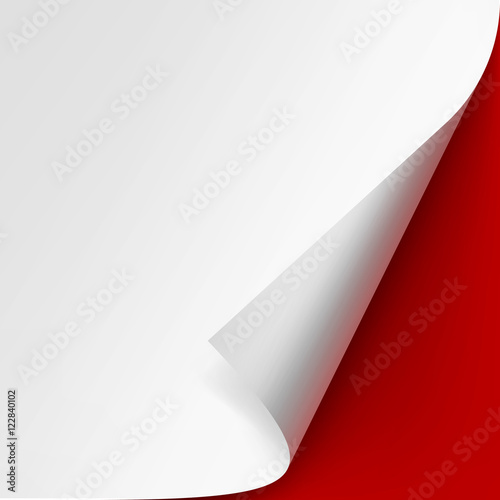 Vector Curled corner of White paper with shadow Mock up Close up Isolated on Red Background