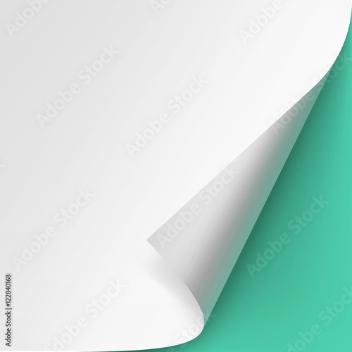 Vector Curled corner of White paper with shadow Mock up Close up Isolated on Light Green Mint Background