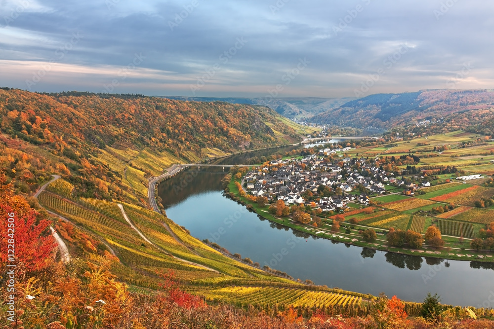 Moselschleife mit Weinbergen im Herbstlaub bei Traben-Tarbach, Ortsteil Wolf in Rheinland-Pfalz