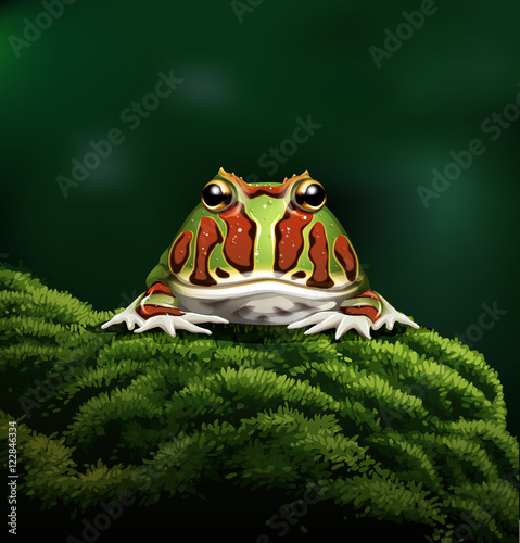 Argentine horned frog