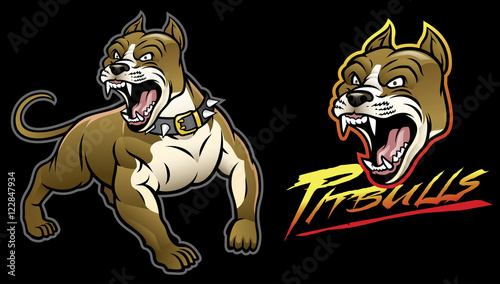 pitbull dog angry