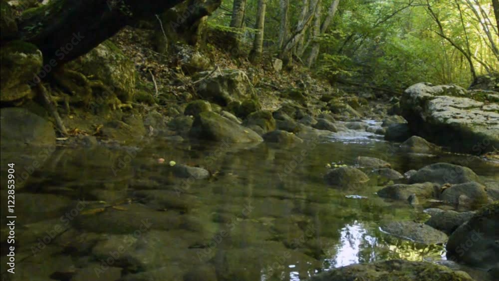 Mountain river in the forest. Water stream forms a pool. Mountain river in the forest. Water stream forms a pool.