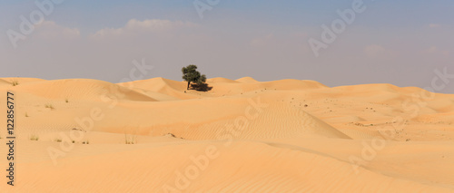 Arabian desert