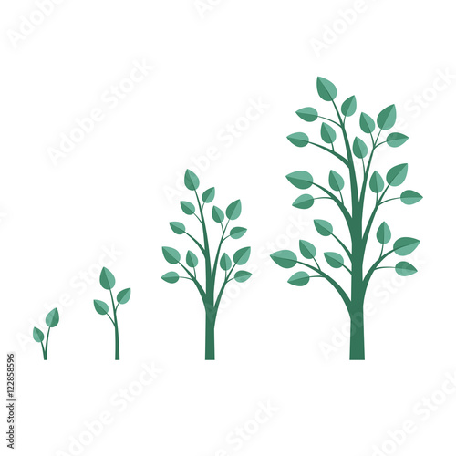 Growing tree. Tree growth stages. Flat style, vector illustration.