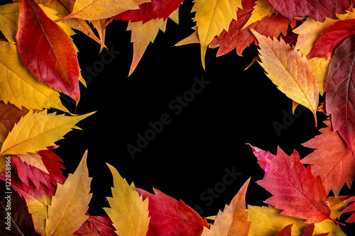 Colorful autumn leaves border isolated on black.