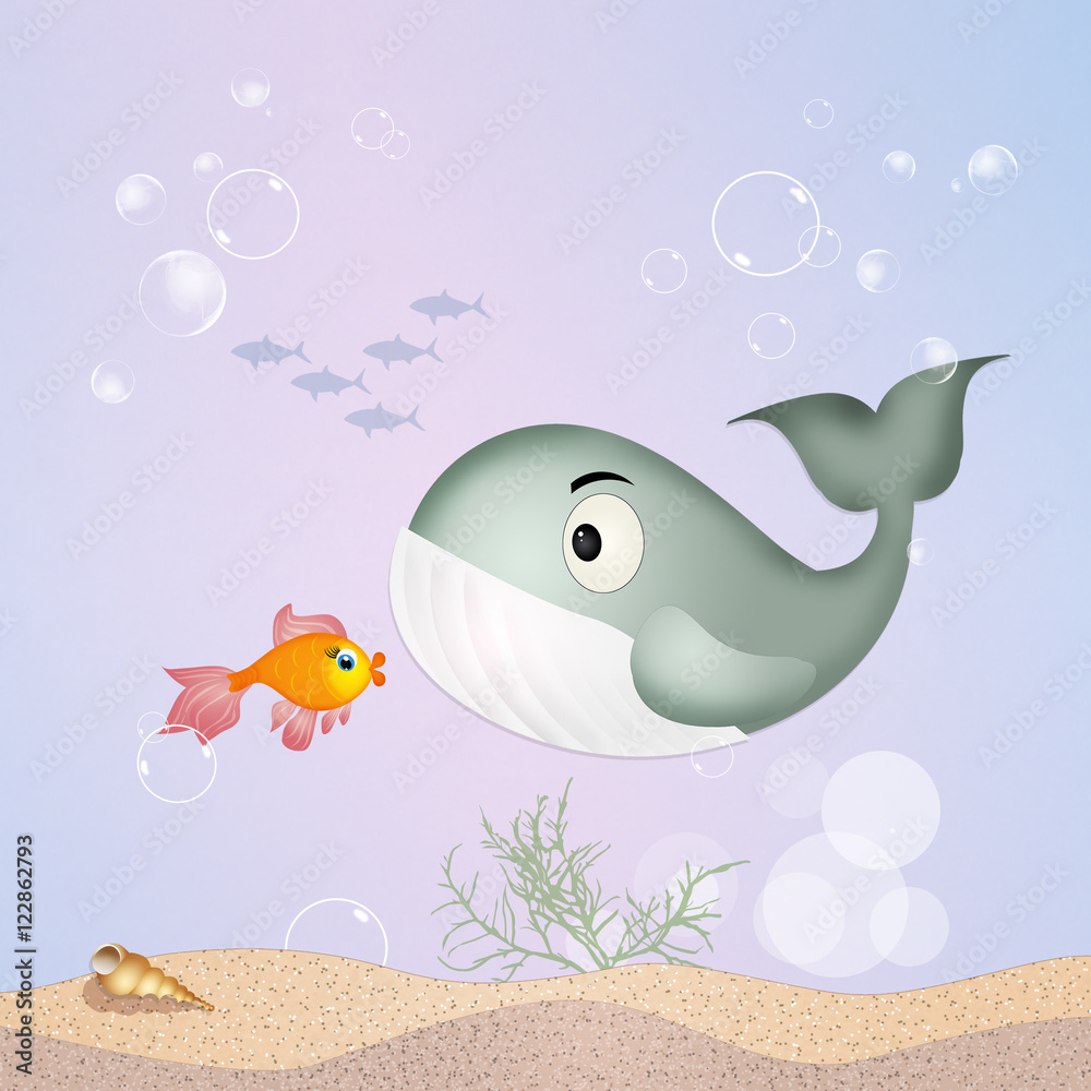 red fish and hole