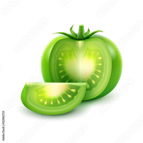 Vector Big Ripe Green Fresh Cut Tomato Close up Isolated on White Background