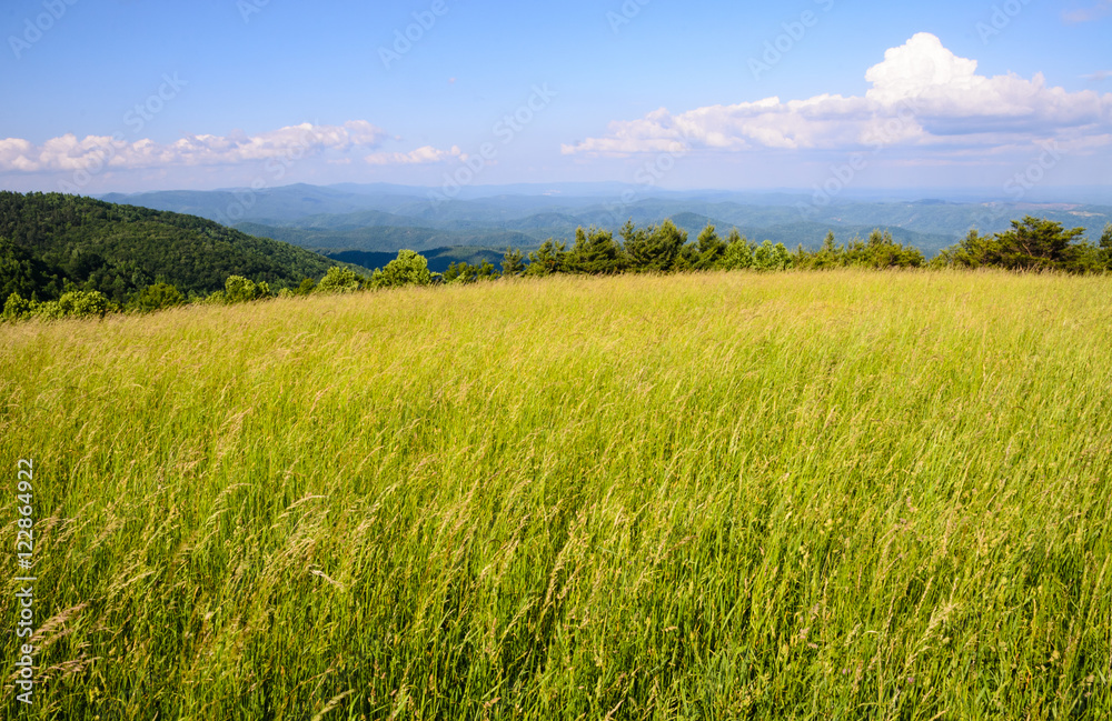 Obraz premium Blue Ridge Parkway