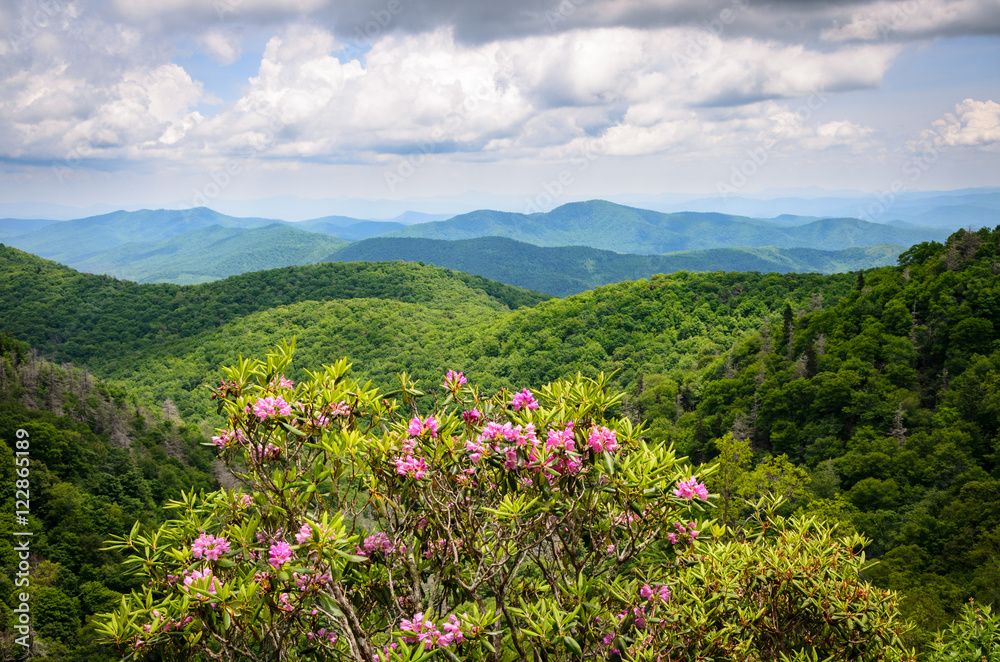 Obraz premium Blue Ridge Parkway