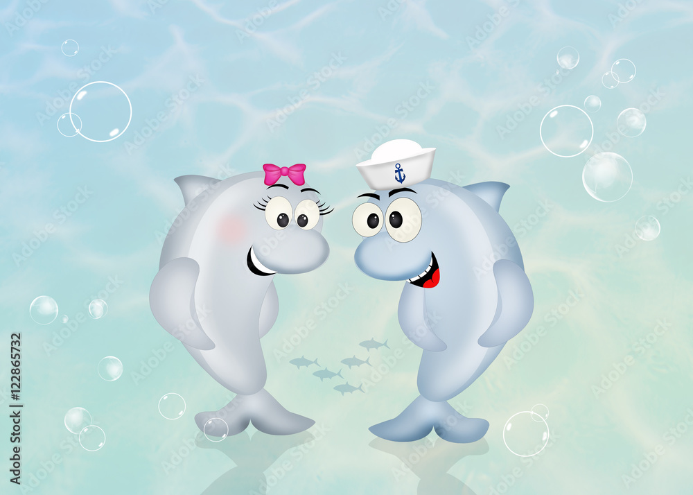dolphins couple dolphins couple