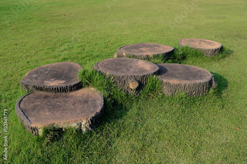 Stump on grass photo