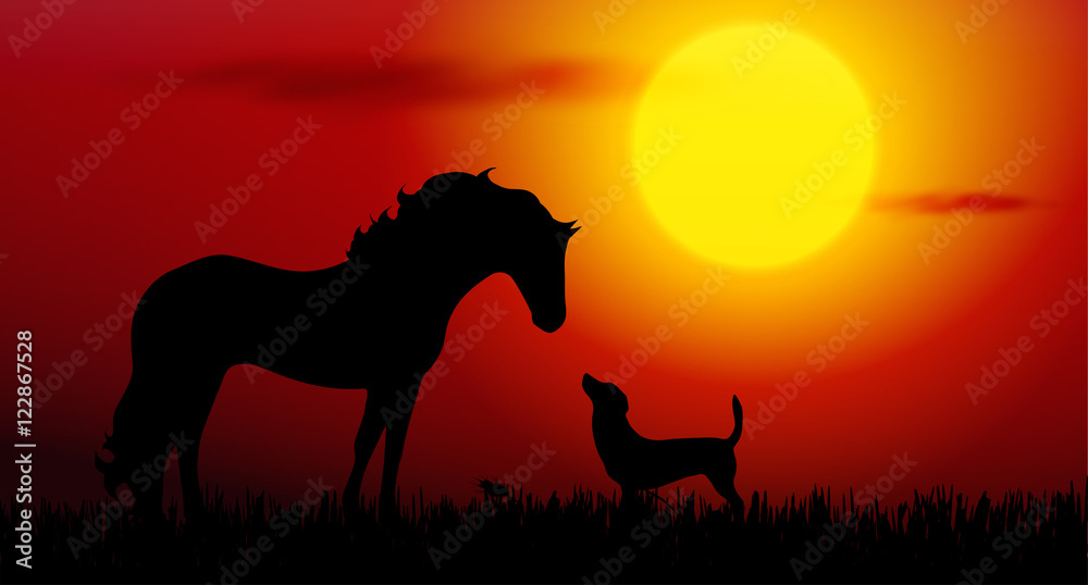 Fototapeta premium dog and horse
