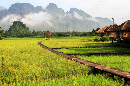 Green rice fields and mountains, Vang Vieng, Laos photo