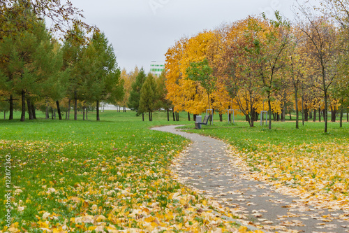 Fall in the city park