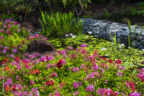 Daylight scene of a spanish park with a lot of multicoloured flowers, some decorative rocks and a little pond with waterlillys. It contains also a lot of green vegetation. photo