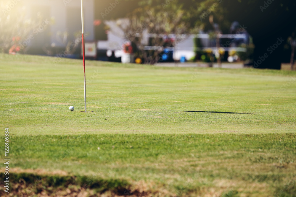 Fototapeta premium Golf ball on the lawn, green
