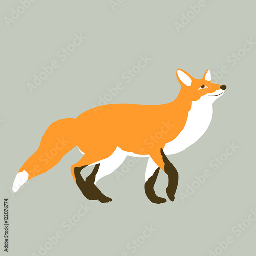 red fox vector illustration style Flat