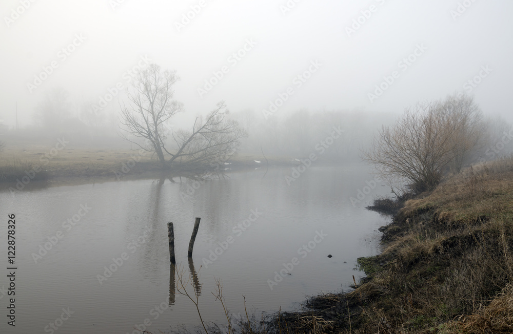Fototapeta premium Springtime.Misty spring landscape with river.