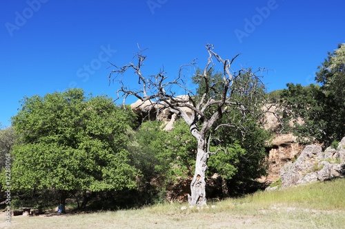 Omaruru landscape in Namibia, Africa photo