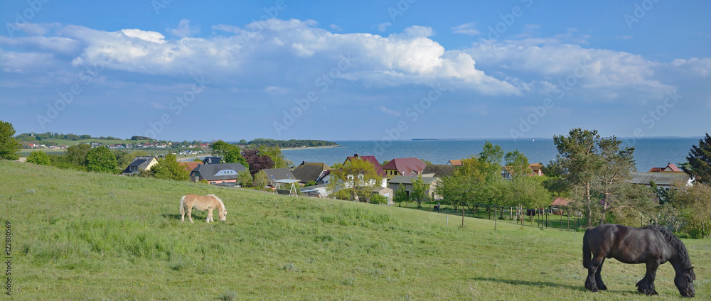 Fototapeta premium Idylle in Klein Zicker im Mönchgut Biosphärenreservat,Insel Rügen,Ostsee,Deutschland