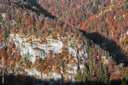 The rock in autumn forest by sunset in Harmanec, Slovakia photo