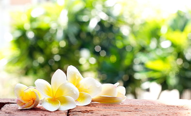 Keuken achterwand Frangipani Witte frangipani op stenen vloer  © NinelittlePhoto