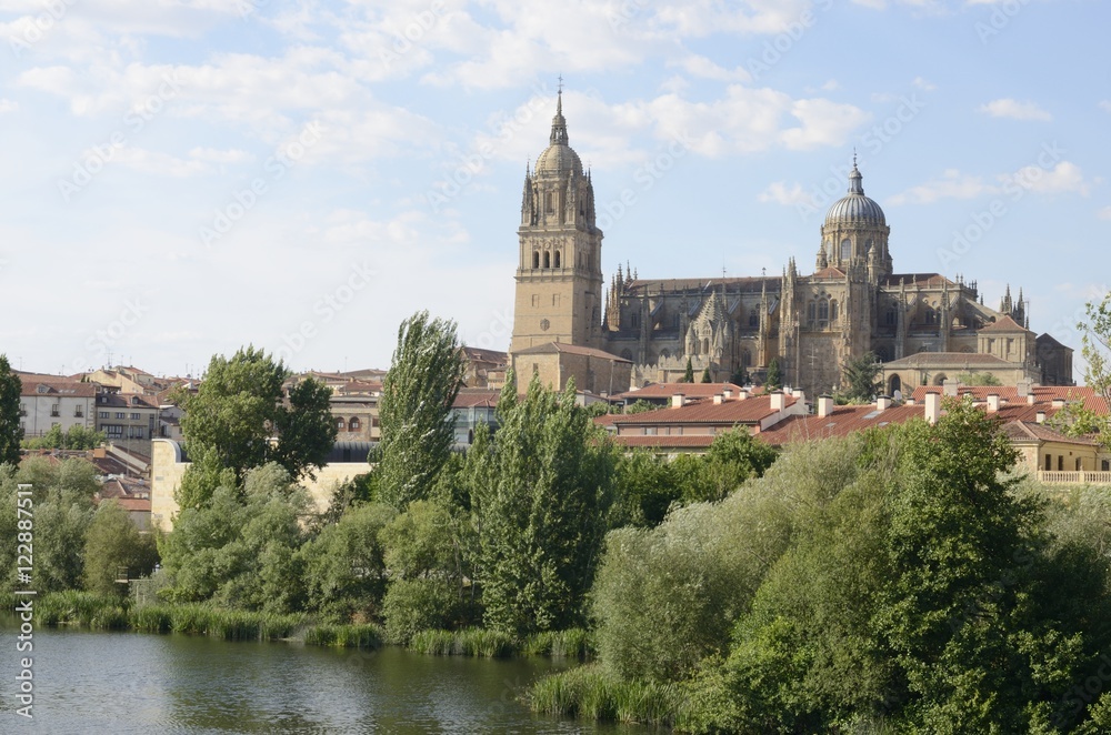 View of the  Cathedral from the river  in Salamanca, Spain