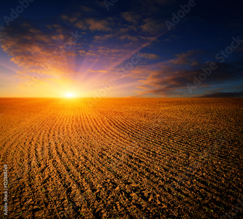 Fotografia sunset over ploughed fild