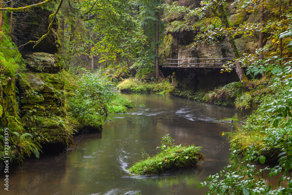 Naklejka premium Kamnitzklamm Einzigartige Landschaft in der Böhmische Schweiz Tschechische Republik