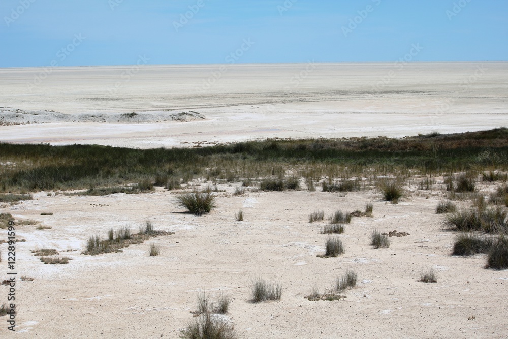 Salt pan in the Etosha National Park in Namibia, Africa Salt pan in the Etosha National Park in Namibia, Africa
