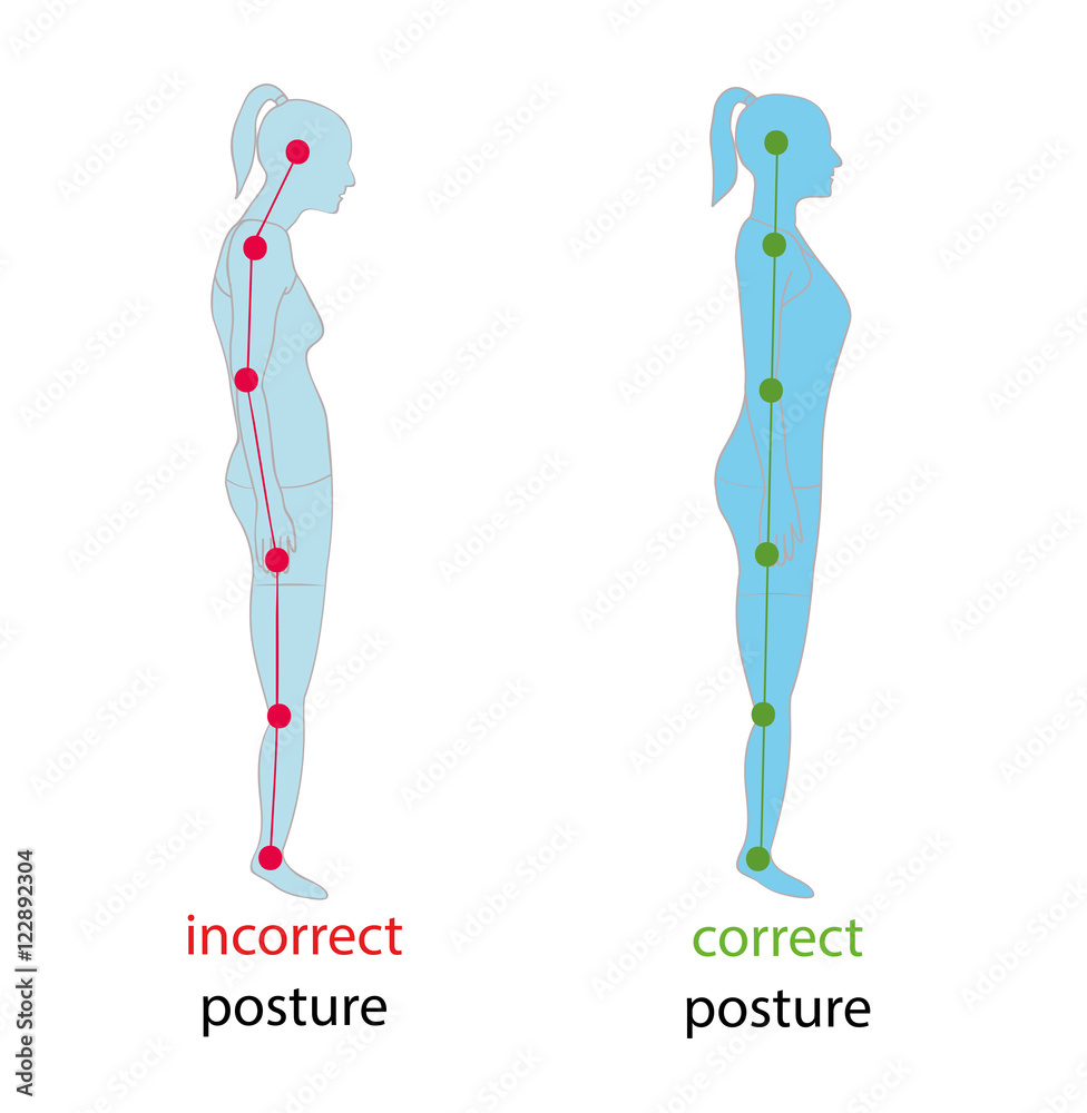 Correct alignment of human body in standing posture for good personality and healthy of spine and bone. Health care and medical illustration