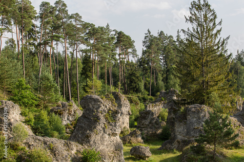 Märchenhaftes Felsenmeer; Wental, Sommer  photo