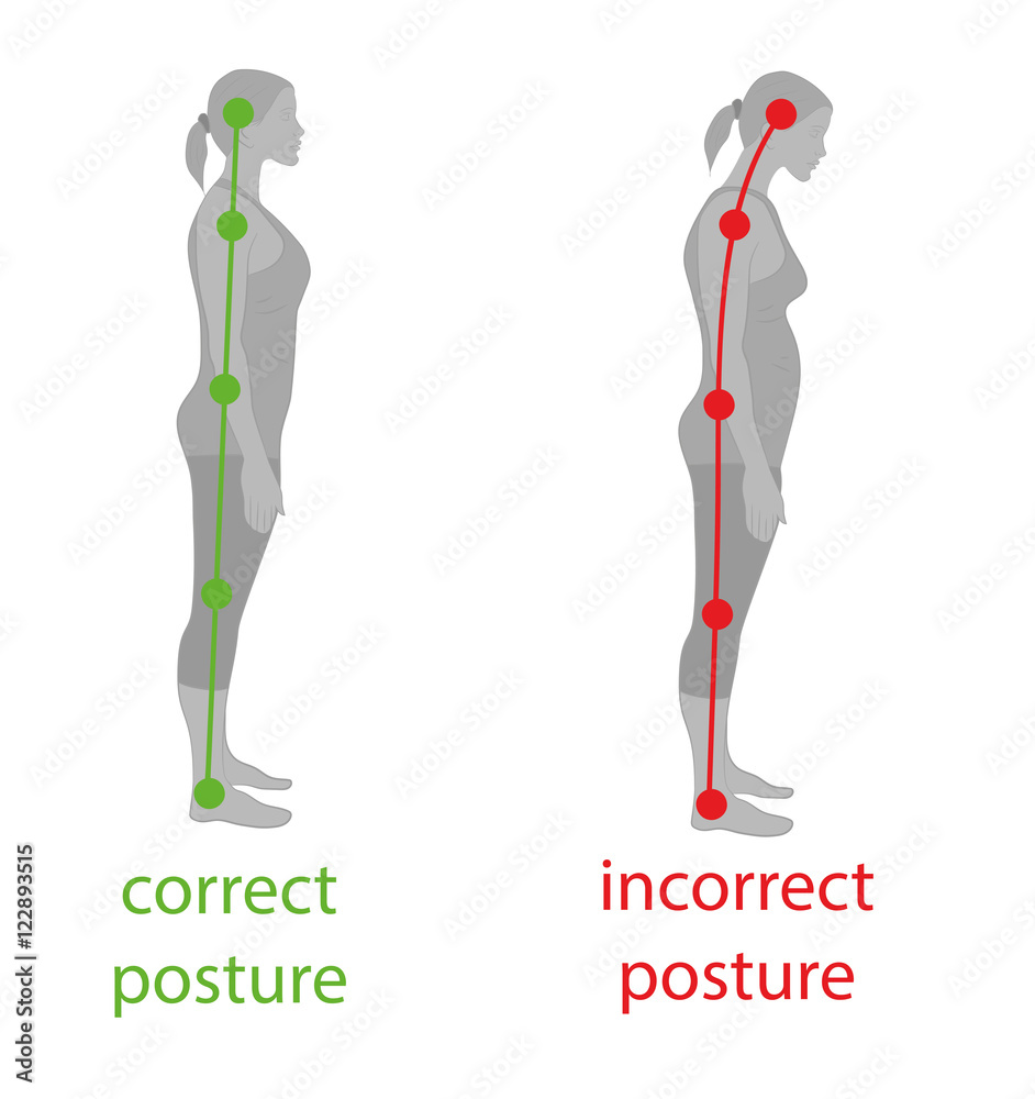 Correct alignment of human body in standing posture for good ... Biology Diagrams