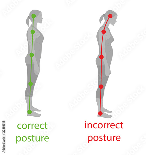 Correct alignment of human body in standing posture for good personality and healthy of spine and bone. Health care and medical illustration