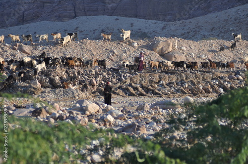 Tablou canvas Shepherds of Jordan