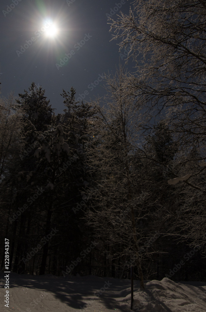 Obraz premium Winter night