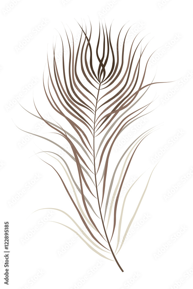 Obraz premium Isolated brown bird feather vector illustration