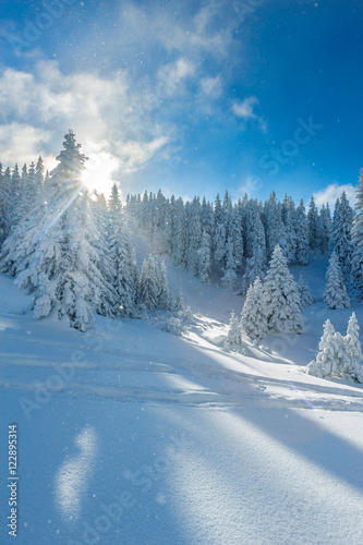 Snowy winter in mountains © Zbigniew