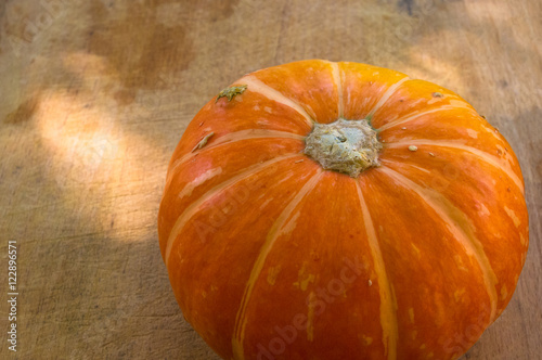 Wallpaper Mural background for Halloween holiday - decorative pumpkin Torontodigital.ca