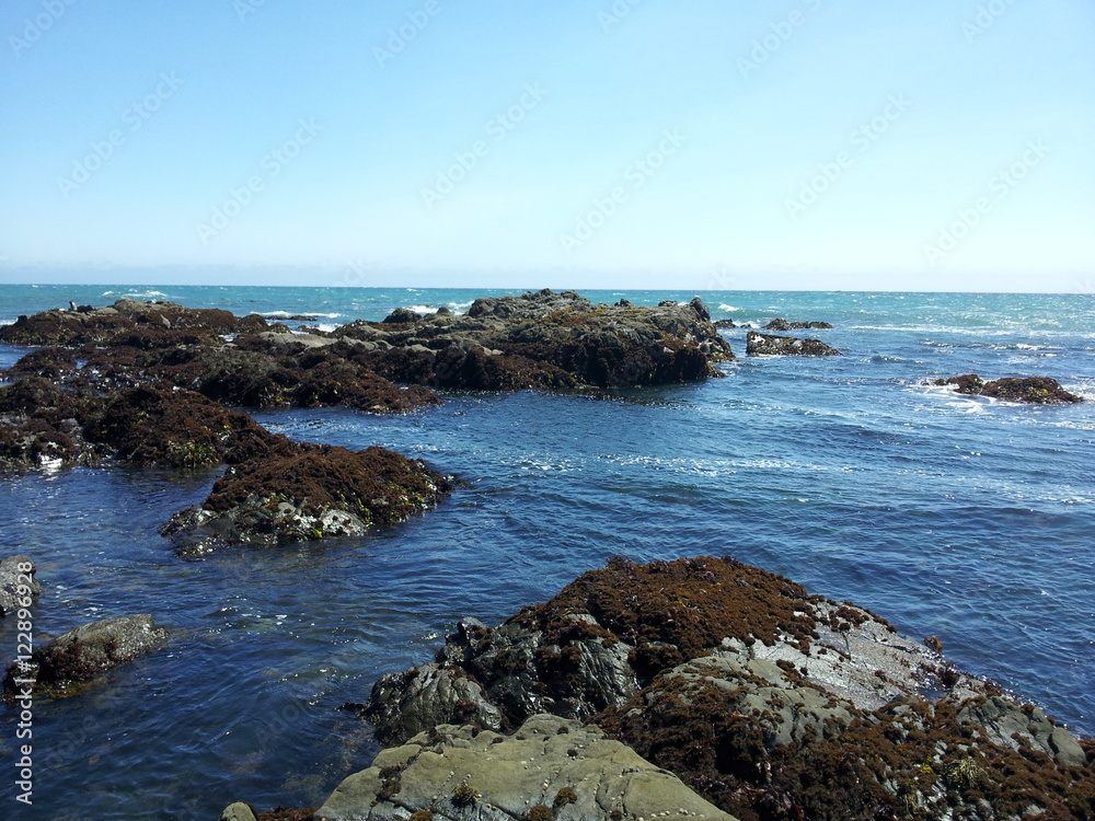 Pacific Coast Pacific Coast