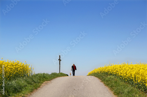 Urlaub in Niederösterreich mit Hund