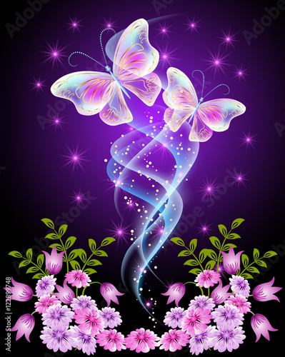 Fototapeta Transparent butterflies with flowers and stars