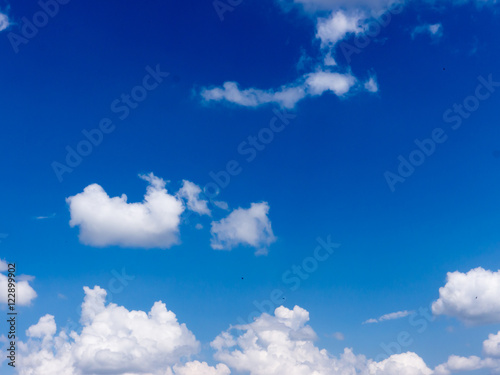 Fototapeta Naklejka Na Ścianę i Meble -  The white clouds.