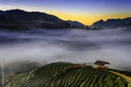 Chiang Mai