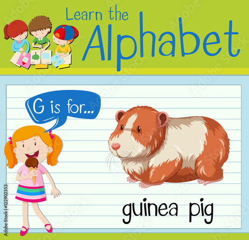 Flashcard letter G is for guinea pig