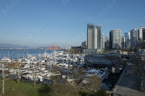 Boats at marina  Coal Harbour  Vancouver  British Columbia  Cana
