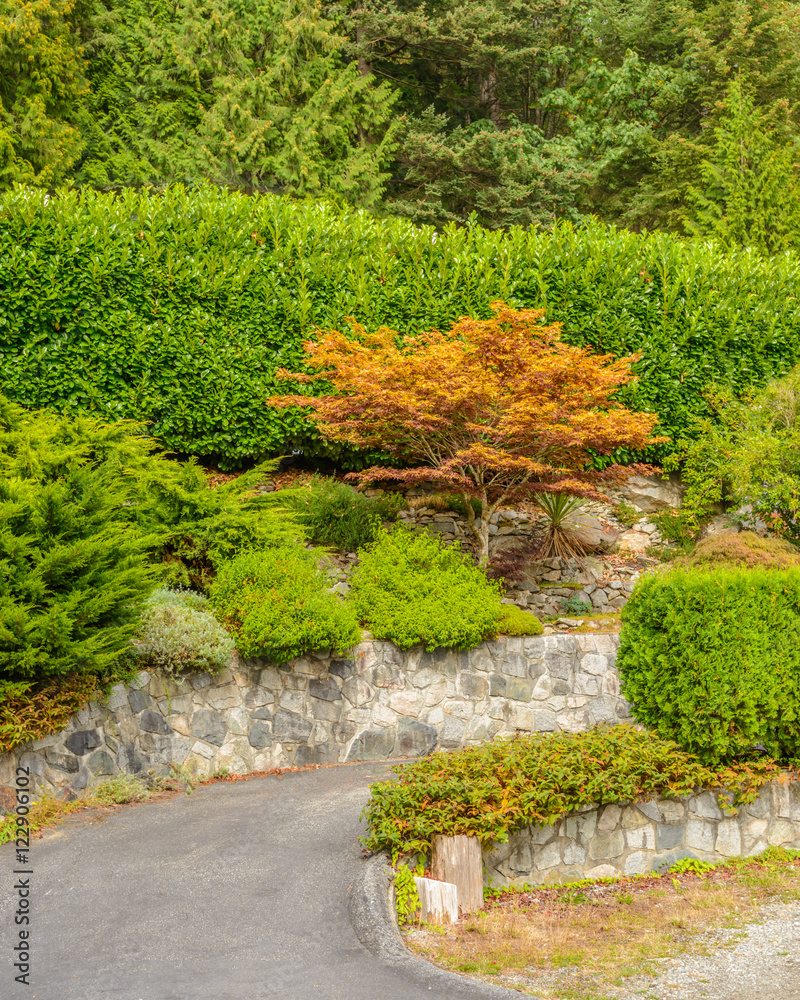 Obraz premium Beautiful outdoor landscape garden in Vancouver, Canada.