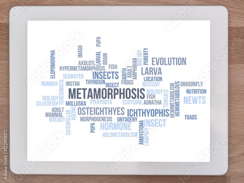 Metamorphosis photo